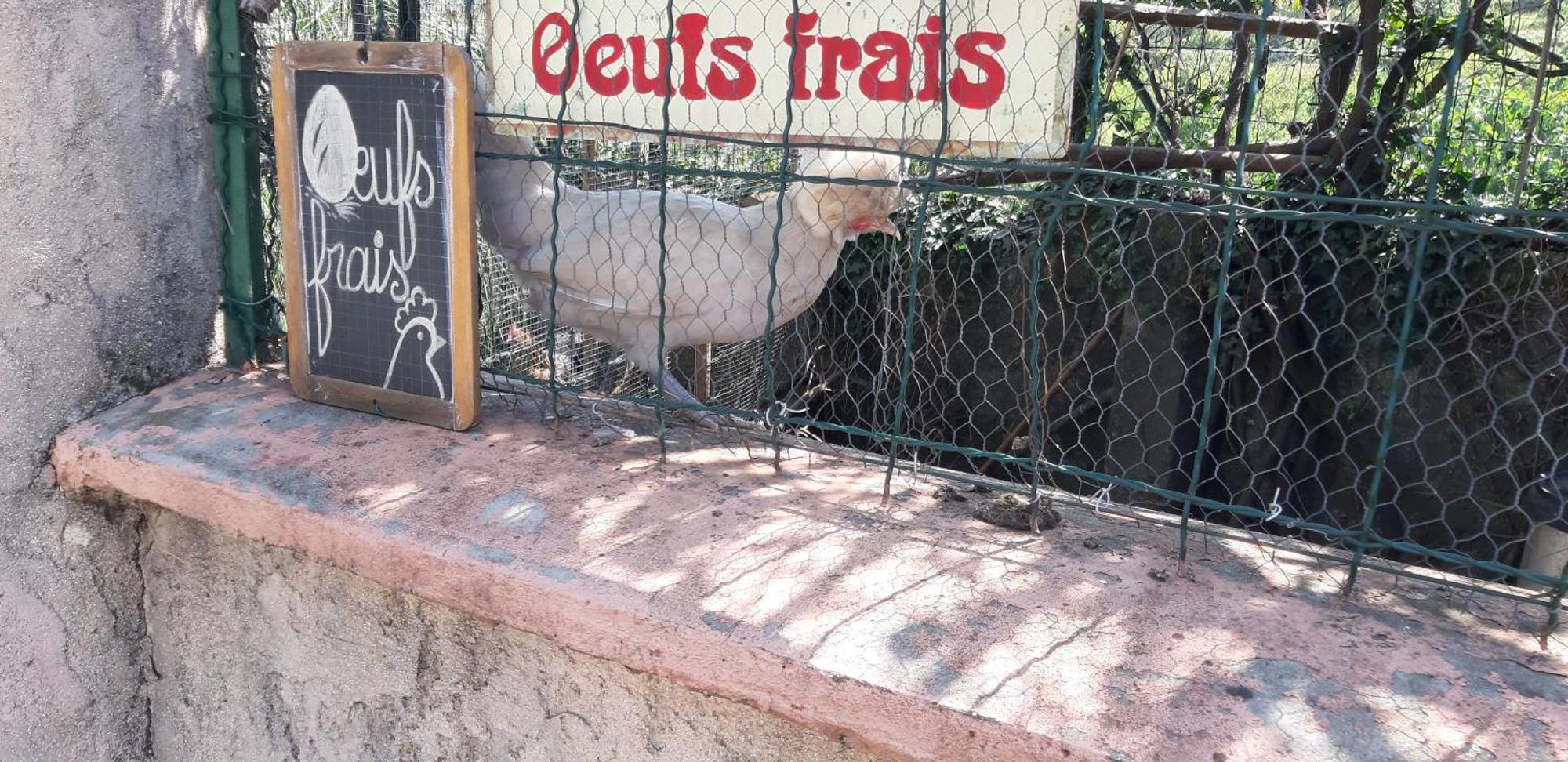 شقة Les Ecrins Les Mages المظهر الخارجي الصورة